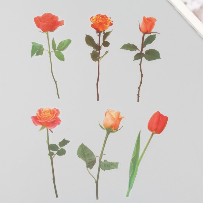 Наклейки пластик Наклейки пластик "Цветы и цитаты. Желто-оранжевые" набор 12 шт 8,5х21,5х0,2 см