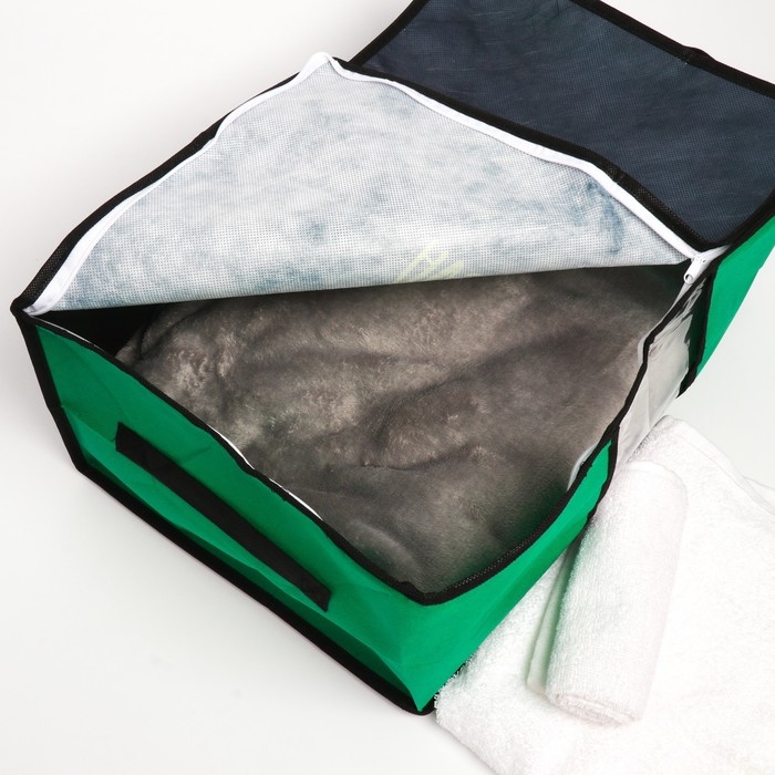 Органайзер для хранения белья, кофр с pvc-окном «Avocado», 43 х 28,5 х 20 см. Органайзер для хранения белья, кофр с pvc-окном «Avocado», 43 х 28,5 х 20 см.