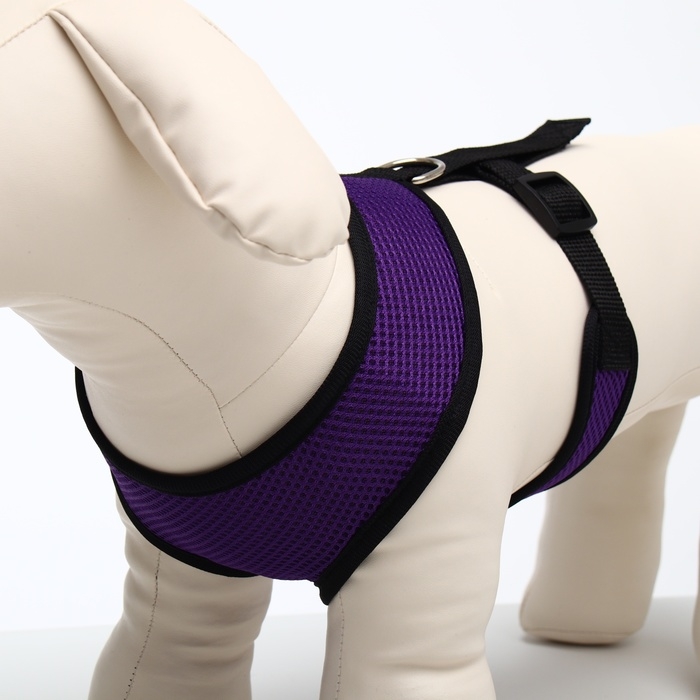 Шлейка мягкая из неопрена, размер L, ОШ 39 см, ОГ 36-46 см, фиолетовая Шлейка мягкая из неопрена, размер L, ОШ 39 см, ОГ 36-46 см, фиолетовая