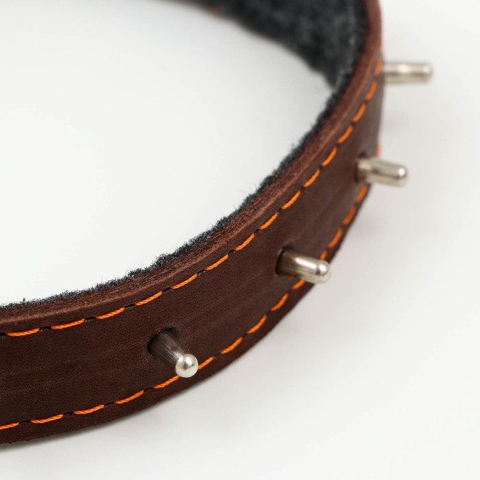 Ошейник кожаный на синтепоне, с шипами, 2 х 40 см, ОШ 25-35 см,тёмно-коричневый Ошейник кожаный на синтепоне, с шипами, 2 х 40 см, ОШ 25-35 см,тёмно-коричневый