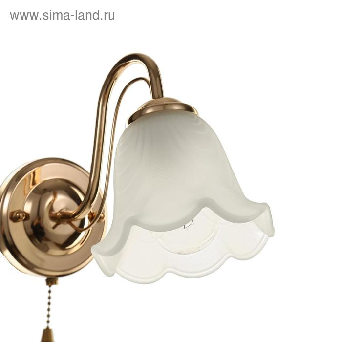 Бра 3905-165/1 40Вт E27 золото