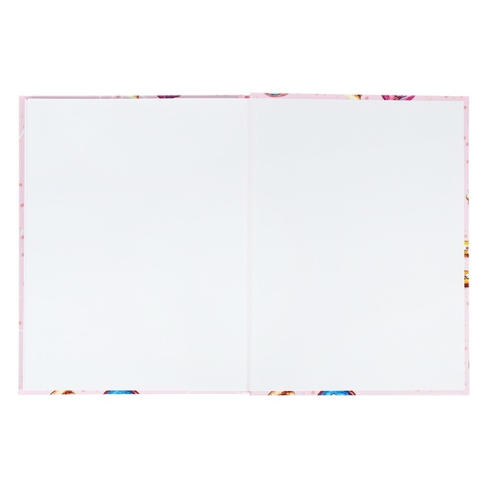 Дневник универсальный для 1-11 классов, Дневник универсальный для 1-11 классов, "Пончики", твердая обложка 7БЦ, глянцевая ламинация, 40 листов