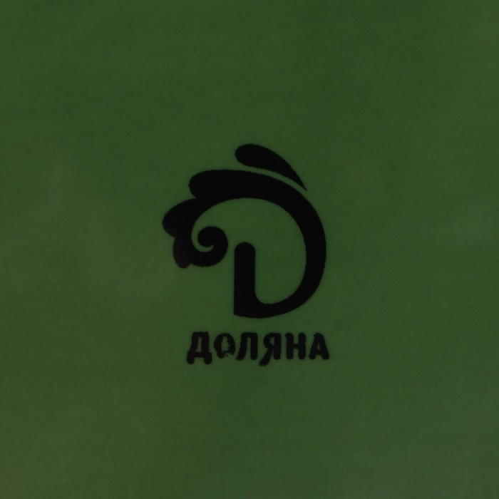 Блюдо сервировочное с ручками Доляна «Лист», 29×3,3 см, цвет зелёный