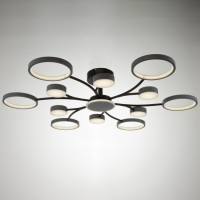 Люстра с ПДУ 2299/13GR LED 256Вт 3000-6000К серый 106х106х18 см BayerLux