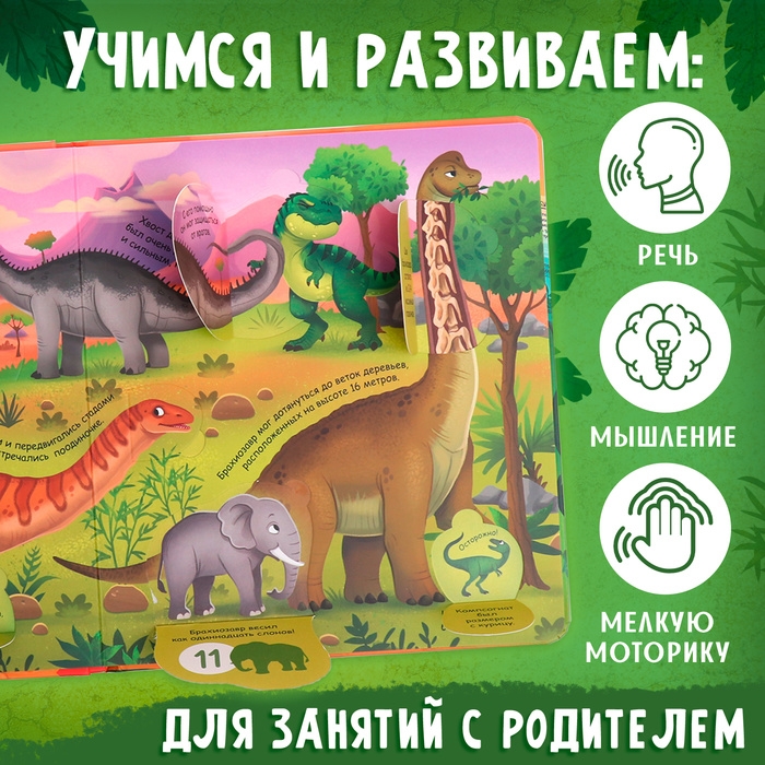 Книга с окошками «Секреты динозавров», 60 окошек Книга с окошками «Секреты динозавров», 60 окошек