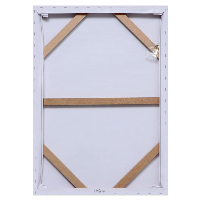 Картина на холсте Картина на холсте "Совушка" 50х70 см