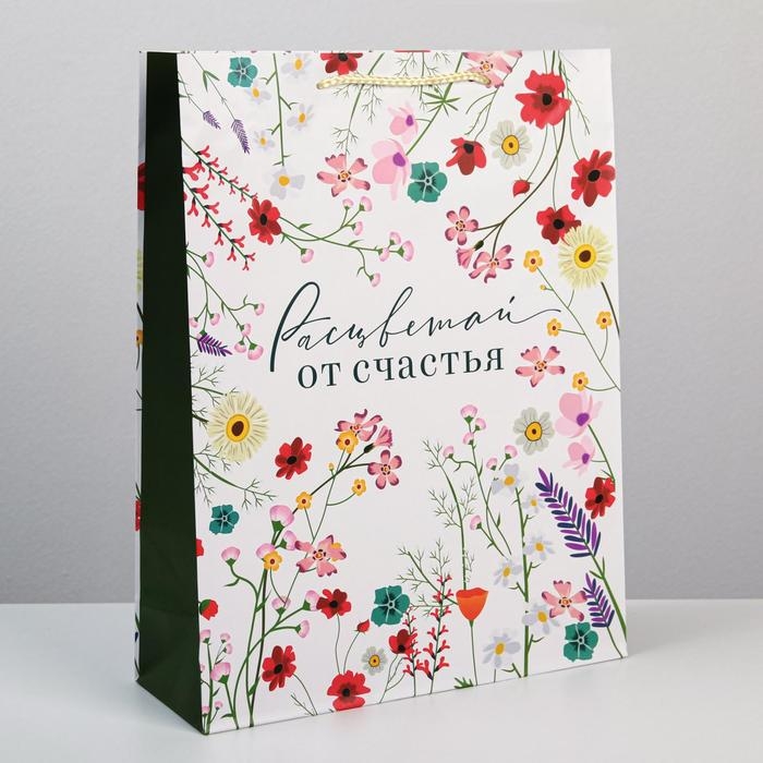 Пакет подарочный ламинированный, упаковка, «Расцветай от счастья», L 28 х 38 х 9 см Пакет подарочный ламинированный, упаковка, «Расцветай от счастья», L 28 х 38 х 9 см