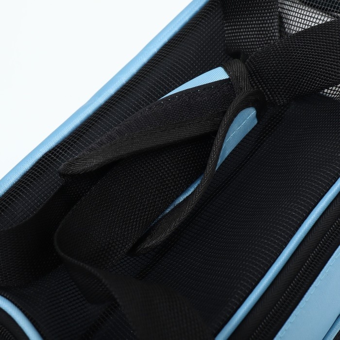 Сумка-переноска сетчатая, 43 х 21 х 30 см, голубая Сумка-переноска сетчатая, 43 х 21 х 30 см, голубая