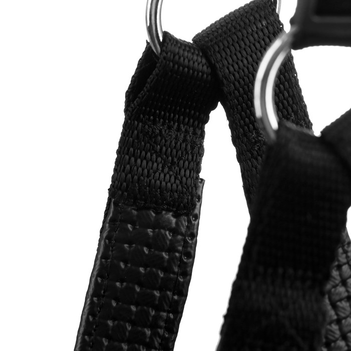 Шлейка Шлейка "Комфорт" комбинированная, 2 см, ОШ 38-55 см, ОГ 40-60 см, чёрная