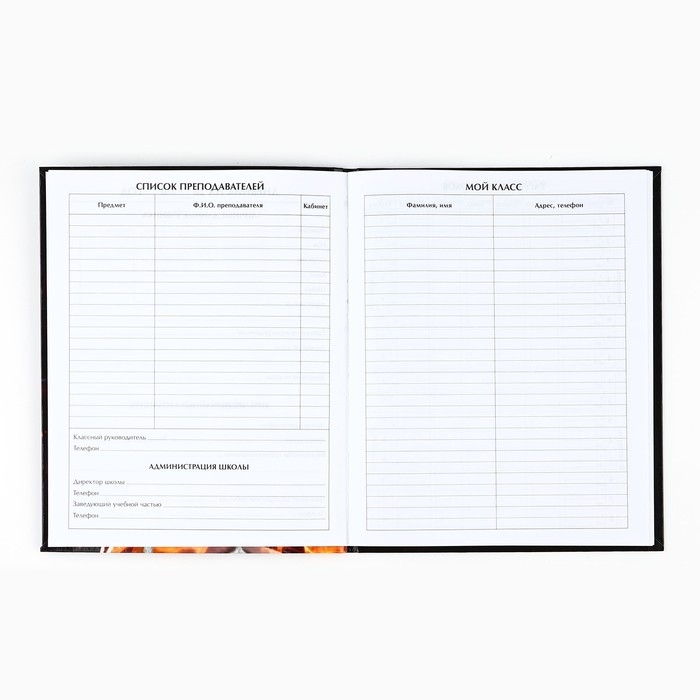 Дневник школьный для 1-11 класса, в интегральной обложке, 40 л. «1 сентября:Extreme football» Дневник школьный для 1-11 класса, в интегральной обложке, 40 л. «1 сентября:Extreme football»