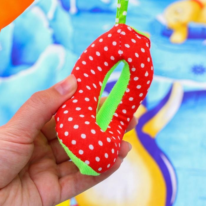 Развивающий коврик с дугами «Арктика-2», 100×87 см, Дельфин Развивающий коврик с дугами «Арктика-2», 100×87 см, Дельфин