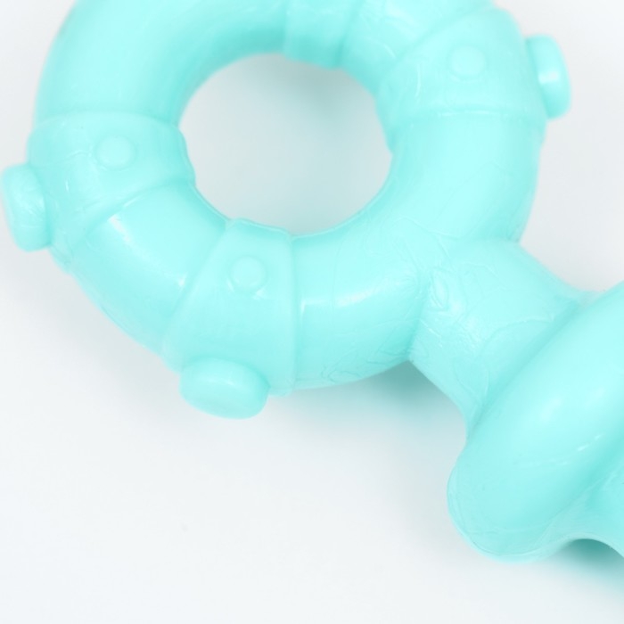 Игрушка для собак Пижон Premium Игрушка для собак Пижон Premium "Якорь", 10 х 1,3 см, мятная