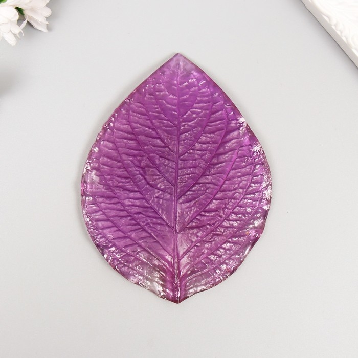 Молд пластик Молд пластик "Основной лист большой" 13,5х10,5 см МИКС