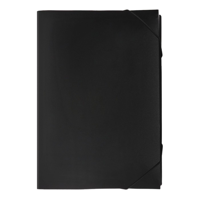 Папка картотека А4, Calligrata, 6 отделений, пластиковая, 700 мкм, чёрная Папка картотека А4, Calligrata, 6 отделений, пластиковая, 700 мкм, чёрная