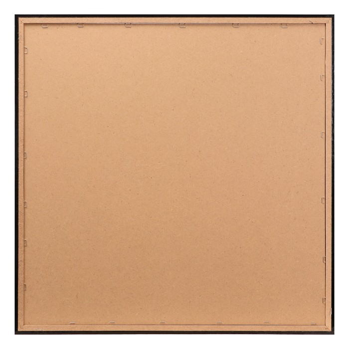 Картина  Картина "Белая орхидея" 75*75 см рамка микс