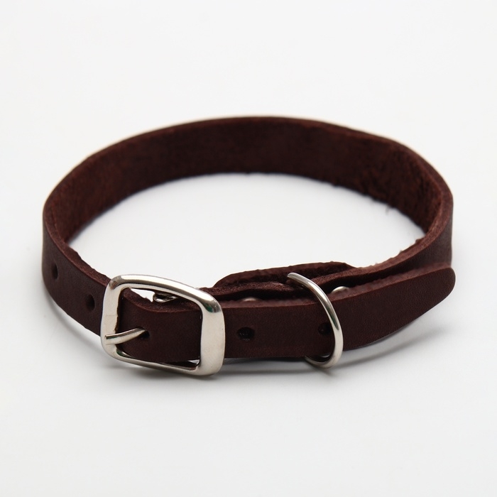 Ошейник кожаный однослойный, 30 х 1 см, ОШ 19-27 см, коричневый Ошейник кожаный однослойный, 30 х 1 см, ОШ 19-27 см, коричневый