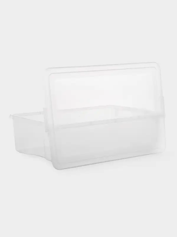 Контейнер для хранения с крышкой Porter, 32 л, 65.9&times;41.6&times;17.5 см, МИКС