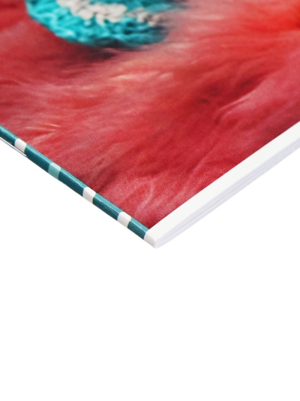 Альбом для рисования А4, 20 листов на скрепке Funny panda, блок 100 г/м2, МИКС