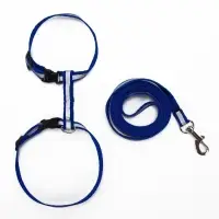 Комплект для кошек, шлейка 21-35 см, ширина 1 см, поводок 120 см, светоотражающий, синий