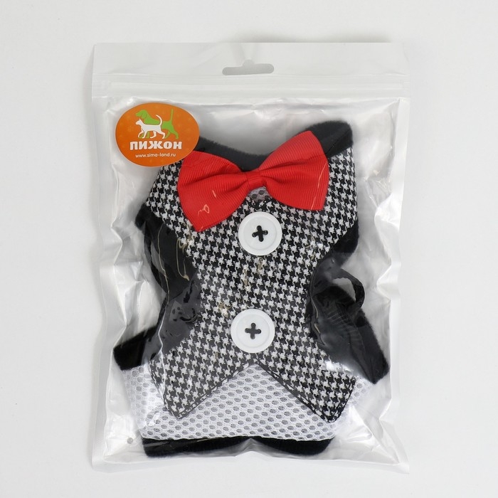 Комплект с мягкой шлейкой и бантиком , размер S, поводок 120 x 1,5 см, ОГ 23-42 см, серый Комплект с мягкой шлейкой и бантиком , размер S, поводок 120 x 1,5 см, ОГ 23-42 см, серый