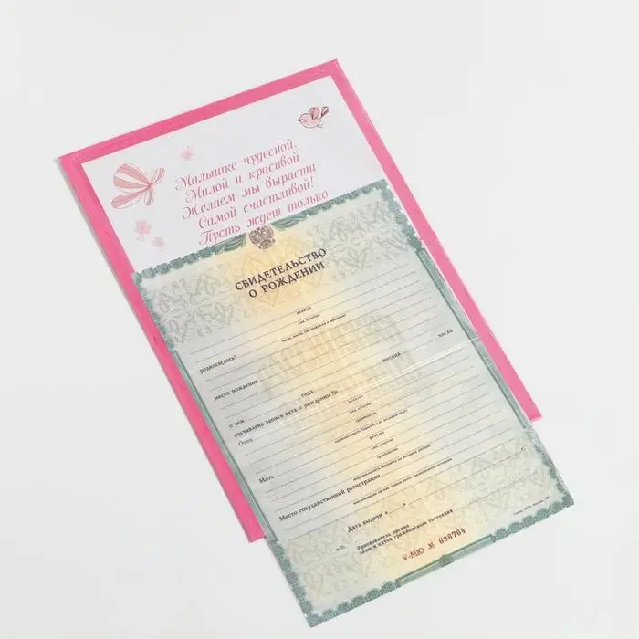 Папка для свидетельства о рождении «Коллаж», для девочки, А5 Папка для свидетельства о рождении «Коллаж», для девочки, А5