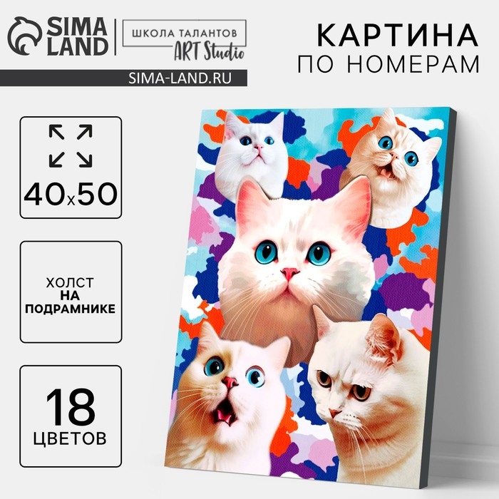 Картина по номерам на холсте с подрамником «Белые котята», 40 х 50 см Картина по номерам на холсте с подрамником «Белые котята», 40 х 50 см