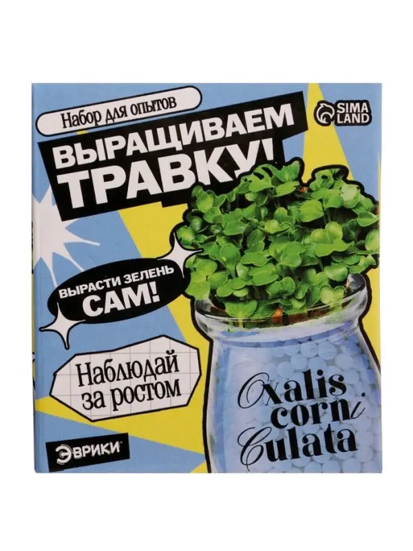 Набор для опытов &laquo;Выращиваем травку&raquo;, своими руками, голубой