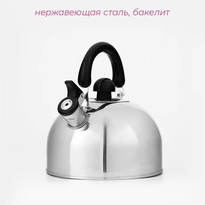 Чайник Доляна &laquo;Чёрная ночь&raquo;, 2 л, со свистком, индукция, нержавеющая сталь, хромированный