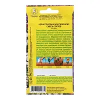 Семена Черноголовка Морской бриз, смесь окрасок   Мн Ц/П 0,05г