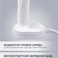 Электрическая зубная щетка PETB 0105 TC