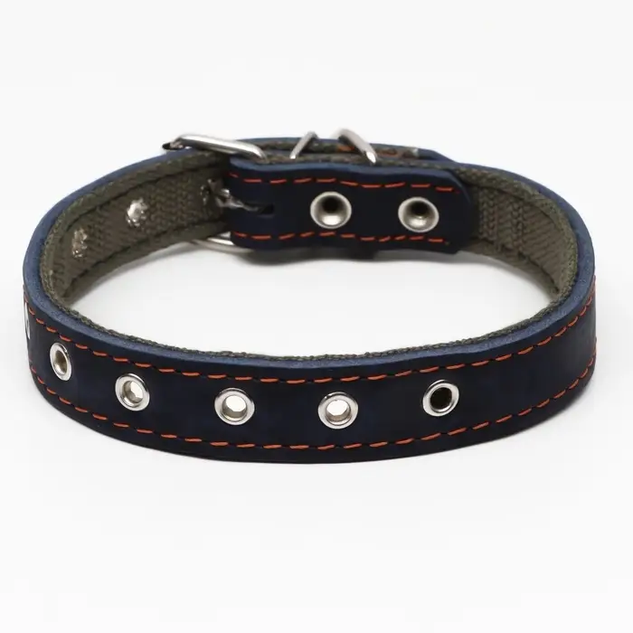 Ошейник комбинированный, безразмерный, 54&times;2.5 см, ОШ 17-45 см, кожа, брезент, синий