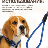 Ринговка для собак, 130&times;1 см, синяя