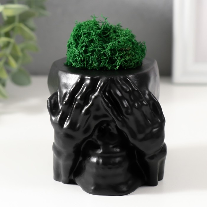 Кашпо бетонное  Кашпо бетонное "Череп Прятки" со мхом 7х10 см черный (мох зеленый стабилизированный)