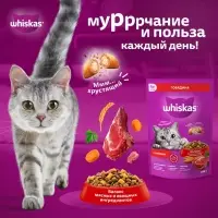 Сухой корм Wiskas для кошек, подушечки с нежным паштетом, говядина, 800 г