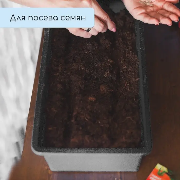 Ящик для рассады, 36 × 14 × 9 см, 3 л, пластик, чёрный Ящик для рассады, 36 × 14 × 9 см, 3 л, пластик, чёрный