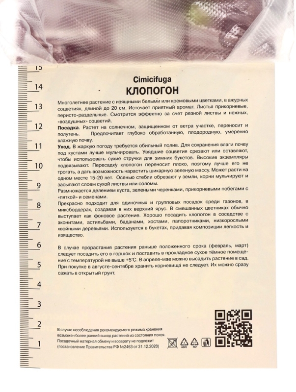 Клопогон простой, р-р I, 1 шт, Весна 2025