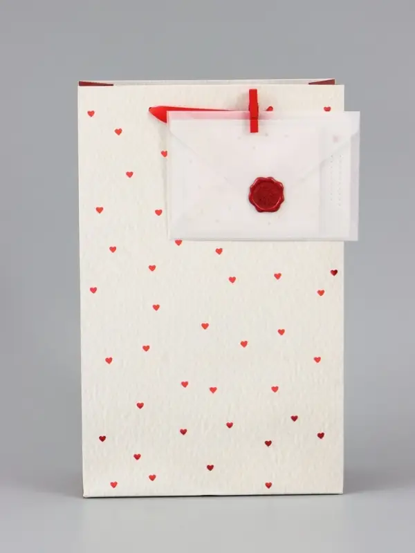 Пакет ламинированный &laquo;Важный момент&raquo;, 22.3&times;9&times;35 см