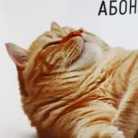 Кружка керамическая «Абонент отдыхает», 320 мл