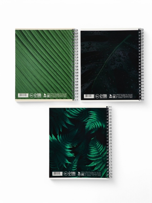 Тетрадь А5, 96 листов на спирали, 3 шт. «Nature» МИКС Тетрадь А5, 96 листов на спирали, 3 шт. «Nature» МИКС