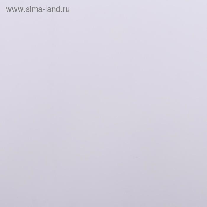 Пленка для цветов, 57 см х 5 м