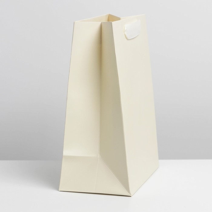 Пакет подарочный ламинированный, упаковка, «Молочный», MS 18 х 23 х 10 см