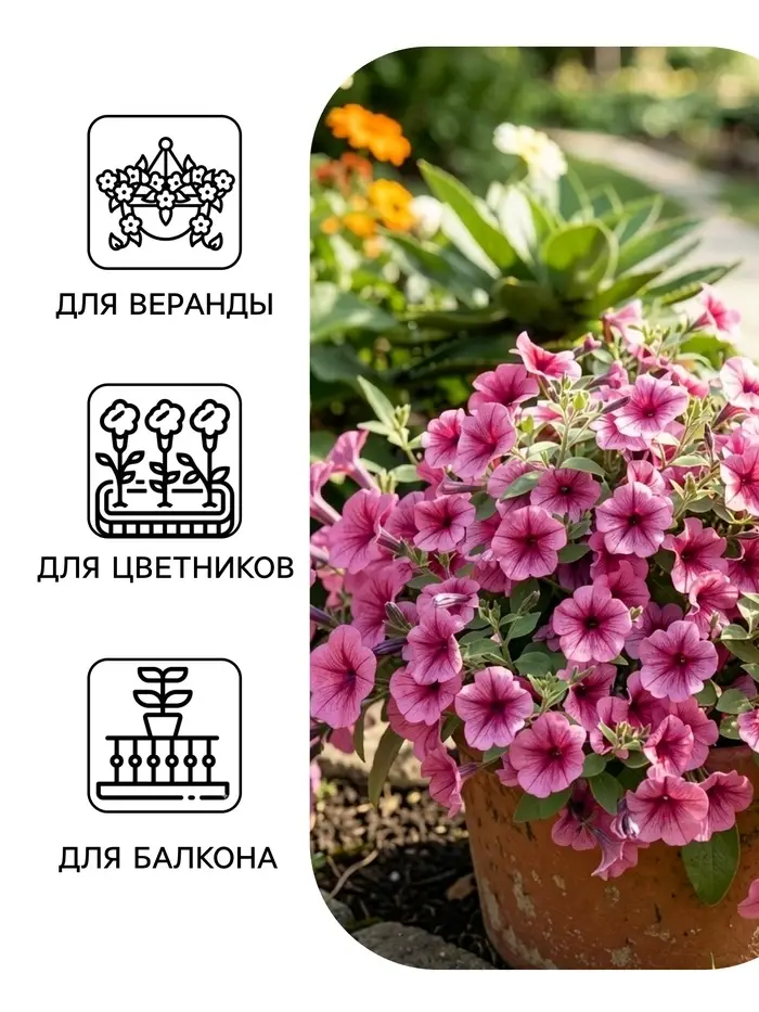 Семена Цветов Петуния &laquo;Городская&raquo; F1, орхидея, драже в пробирке, 7 шт.