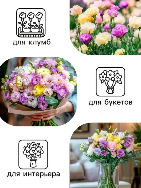 Семена цветов Эустома &laquo;Супер Мэджик&raquo;, F1, смесь, 8 шт., DARIT, &laquo;Агроуспех&raquo;