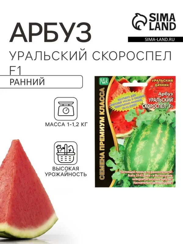 Семена Арбуз &laquo;Уральский Скороспел&raquo;, F1, набор 5 шт., &laquo;Уральский дачник&raquo;