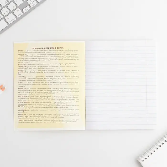 Тетрадь в линейку, предметная, 48 л.,на скрепке, А5 &laquo;ВЕЛИКИЕ ЛИЧНОСТИ. Литература&raquo;