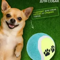 Мячик войлочный &laquo;Лапки&raquo;, 6.5 см, цвет МИКС