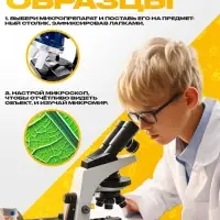 Набор для опытов &laquo;Набор микропрепаратов&raquo;, овощи и зелень