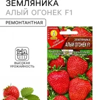 Семена Земляника &laquo;Алый огонек&raquo;, F1, &laquo;Агрофирма АЭЛИТА&raquo;, ремонтантная, крупноплодная, 10 шт.