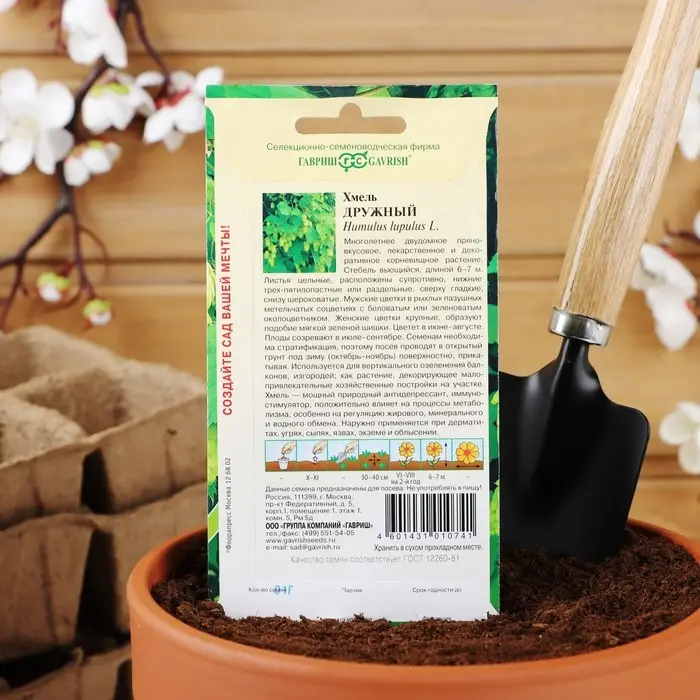 Семена цветов Хмель  Семена цветов Хмель "Дружный", ц/п,  0,1 г