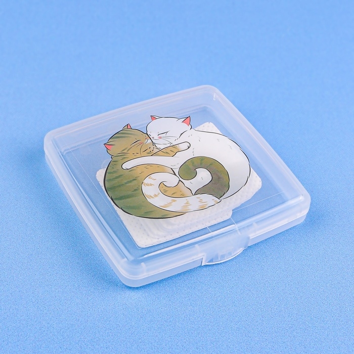 Органайзер для хранения гигиенических принадлежностей «Котики», 9.5×9.5×1.5 см, прозрачный